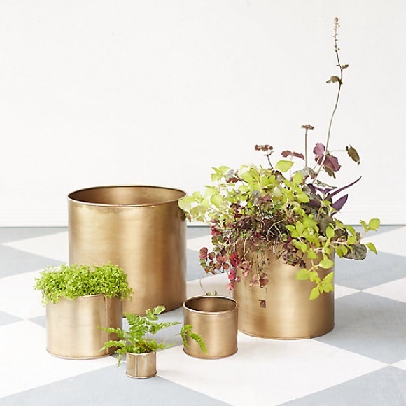 Terrain Habit & Form cylinder pot drum planter indoor houseplant pot brass gold - Picture 11 of 12